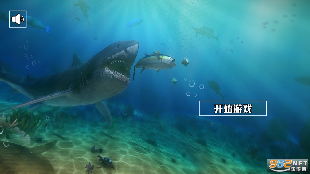  穆西亚拉神级弧线破僵局  